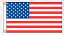 U.S. Flags, economy